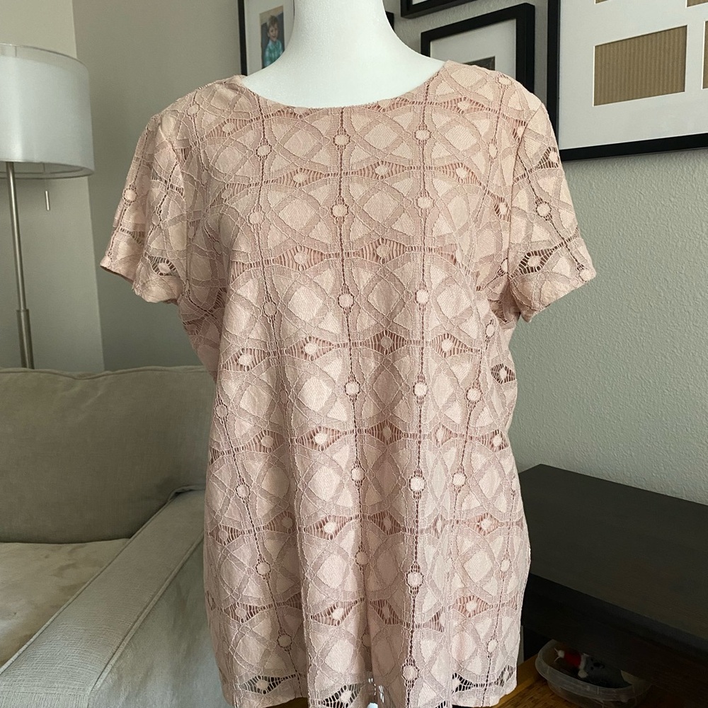 Elegant Lace Blush Top